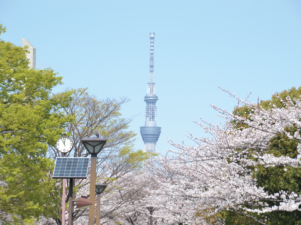 Surrounding environment. Kiba park (about 150m / A 2-minute walk)