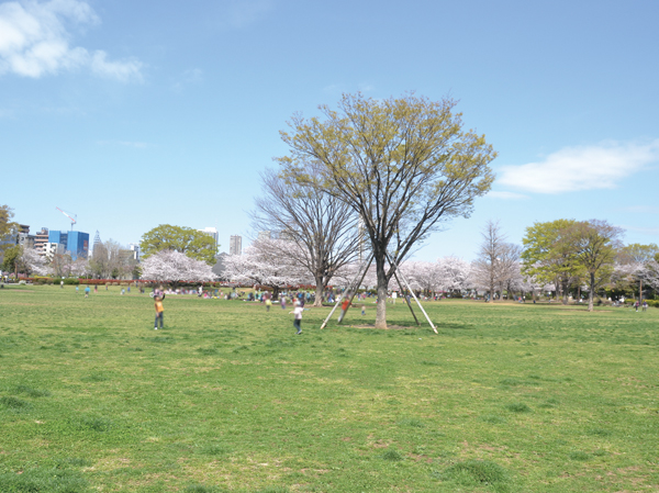 Surrounding environment. Kiba park (about 150m / A 2-minute walk)