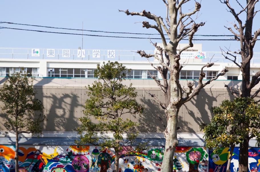 Primary school. Toyo full 50m healthy children up to elementary school