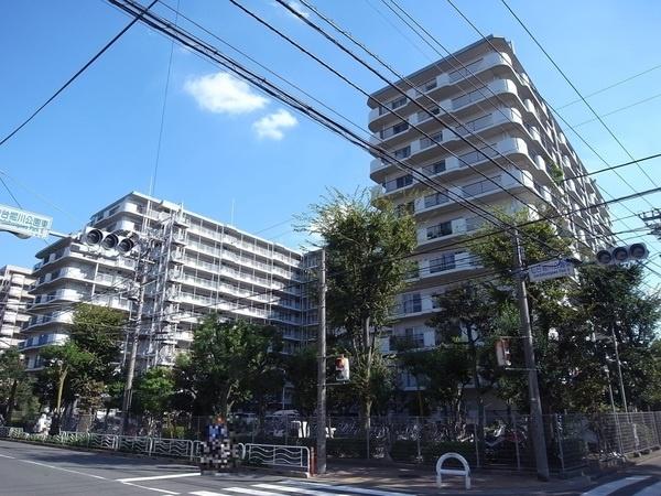 Local appearance photo