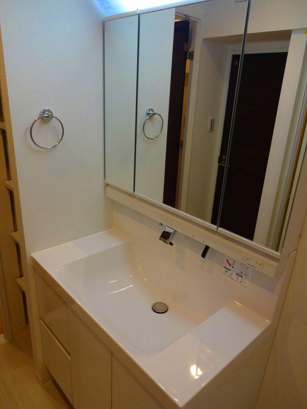 Wash basin, toilet. Bathroom vanity