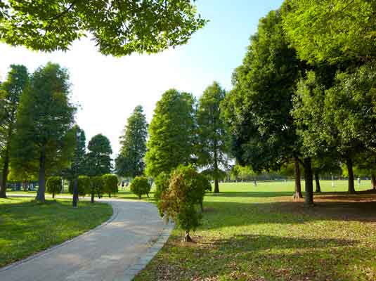 Surrounding environment. Tatsumi Forest Seaside Park (about 1400m / 18-minute walk)