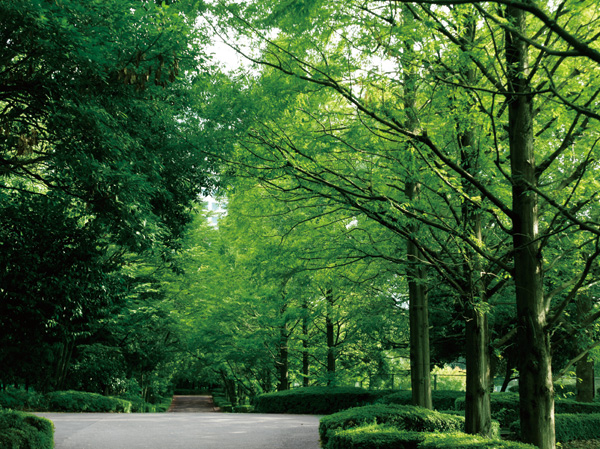Surrounding environment. Ariake Tennis Forest Park (about 1240m / 16-minute walk)