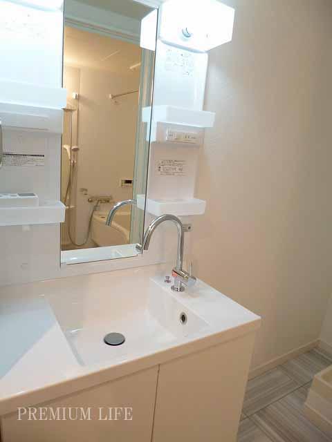 Wash basin, toilet. Independent wash basin of the storage enhancement