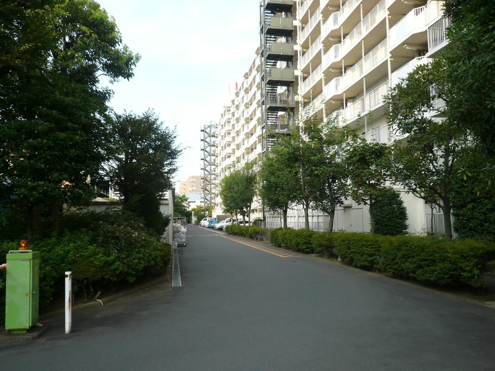 Local appearance photo. Indoor (10 May 2013) Shooting