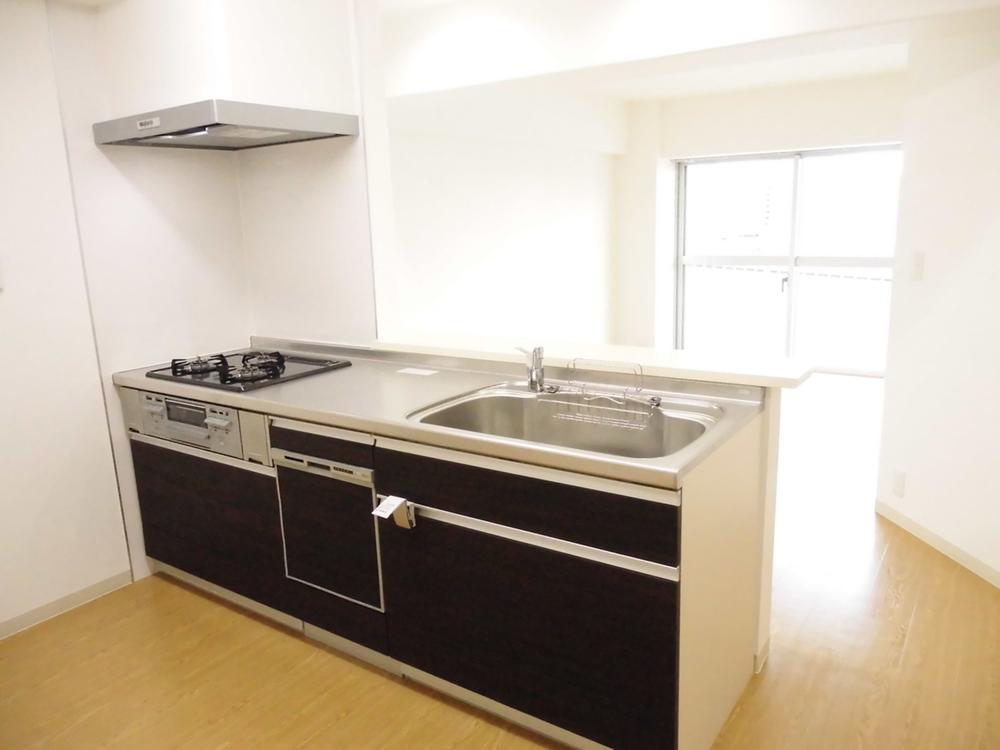 Kitchen. Indoor (10 May 2013) Shooting