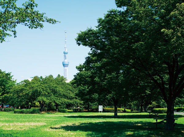Surrounding environment. Sarue Imperial park (about 910m ・ A 12-minute walk)