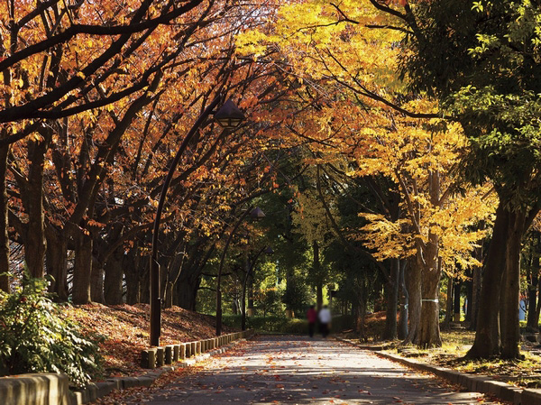 Sarue Imperial Park (12 minutes, about 910m walk)