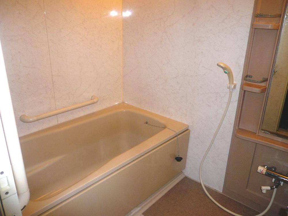 Bathroom. Indoor (10 May 2013) Shooting