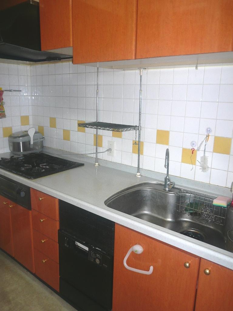 Kitchen. Indoor (10 May 2013) Shooting