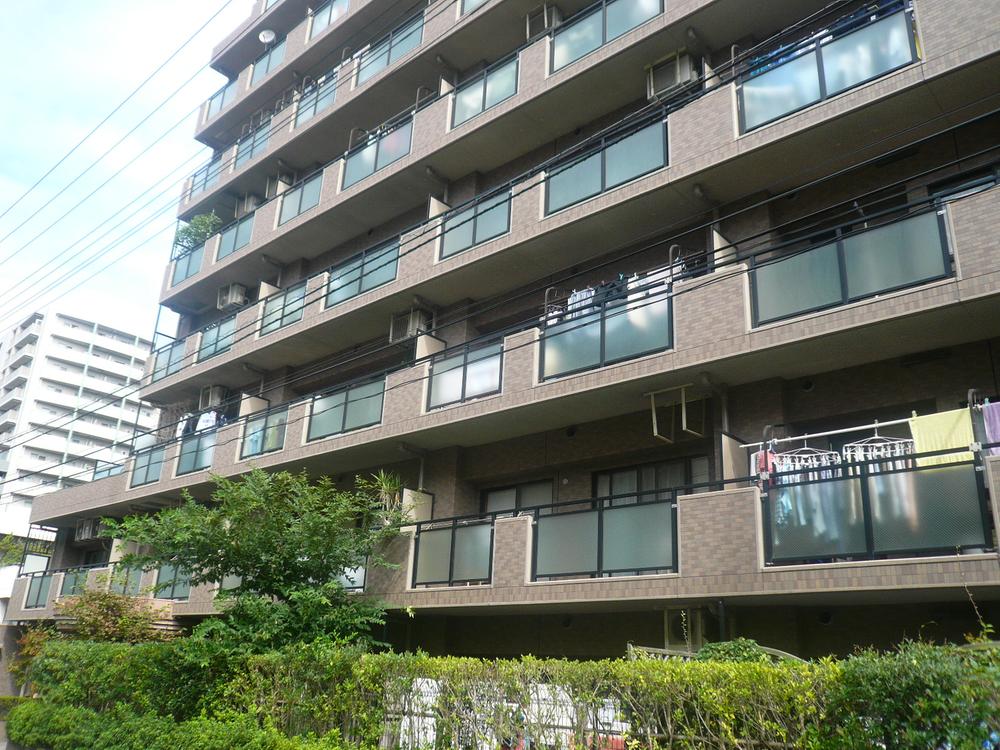 Local appearance photo. Local (10 May 2013) Shooting