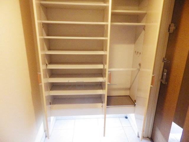 Entrance. Footwear purse