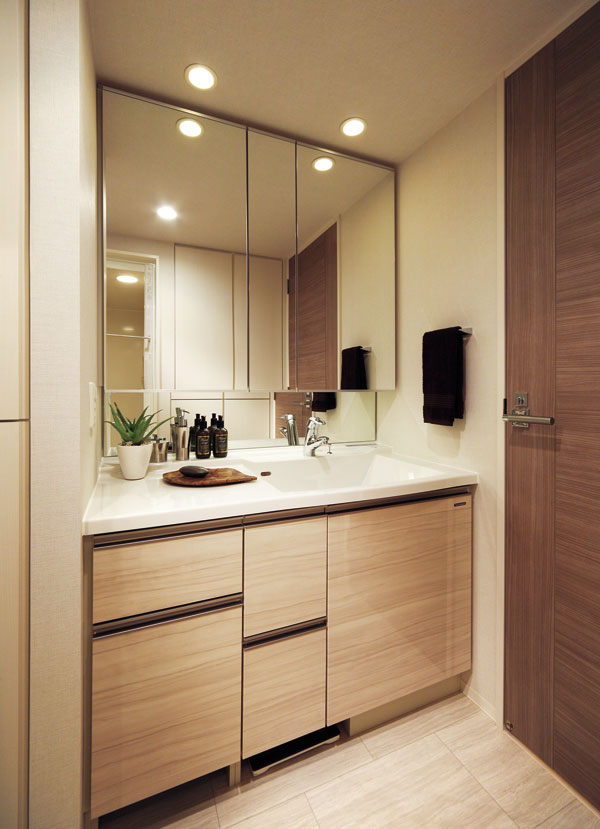 Bathing-wash room. Powder Room