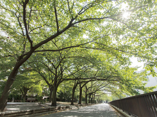Surrounding environment. Sendai Horikawa park (about 70m / 1-minute walk)