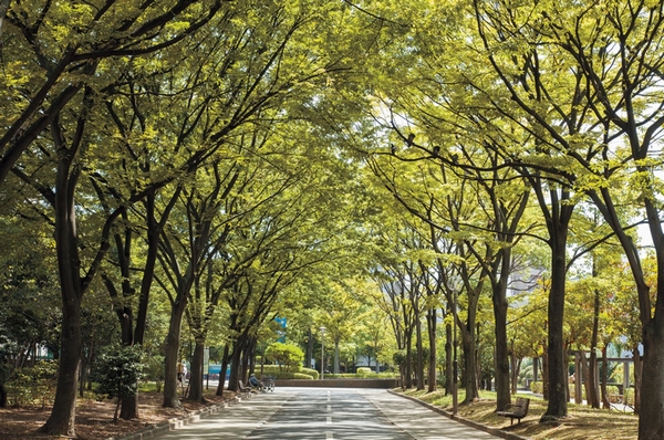 Kurevia Minamisuna. (living ・ kitchen ・ bath ・ bathroom ・ toilet ・ balcony ・ terrace ・ Private garden ・ Storage, etc.)
