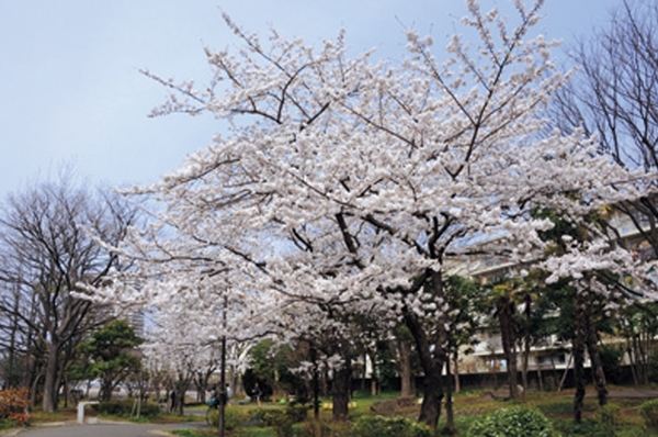 Sendai Horikawa park (about 70m / 1-minute walk)