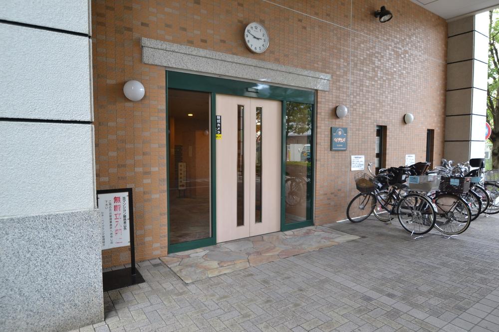 Entrance. Common areas