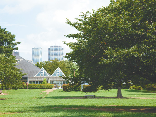 Surrounding environment. Kiba Park (9-minute walk ・ About 700m)