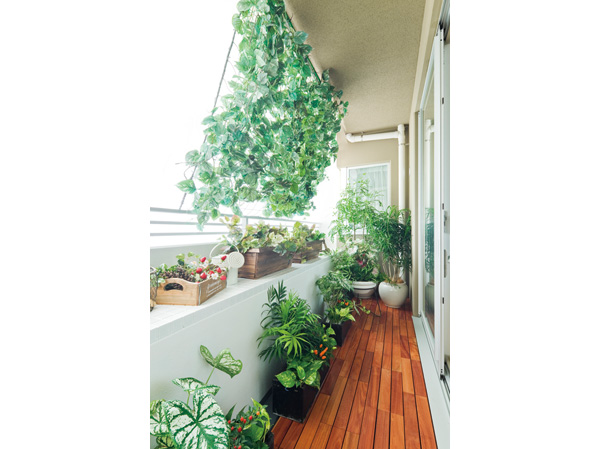 Room and equipment. Block the summer sun by growing plants, You can take in a pleasant breeze in the room. Also obtained harvest of joy in raising fun. Not only to enrich the living space, To be brought up to "green curtain" which also lead to the eco, Standard equipped with a dedicated garden tub and nets and hooks on the balcony.  ※ Model Room B type