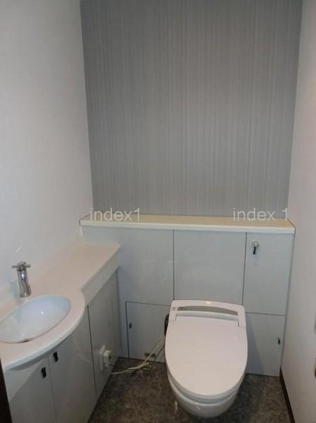 Toilet. Happy with Washlet!