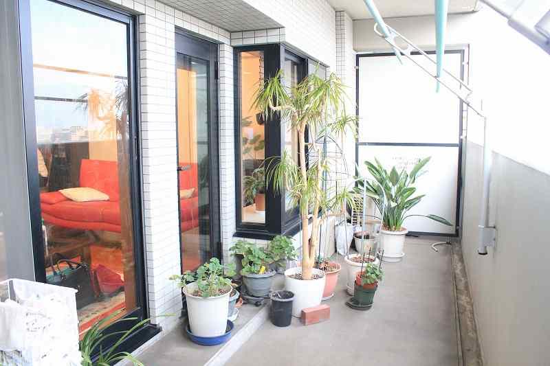 Balcony. Living side balcony