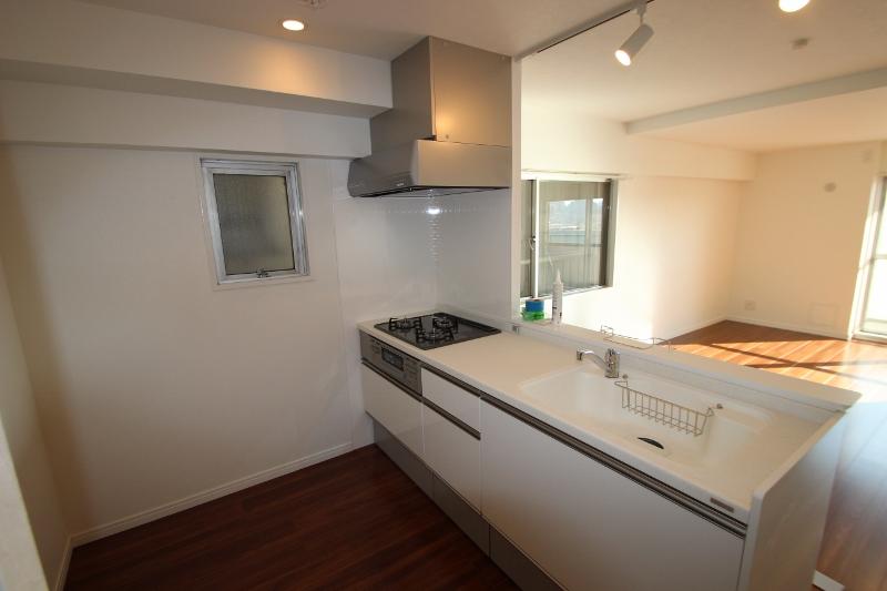 Kitchen. Indoor (12 May 2013) Shooting