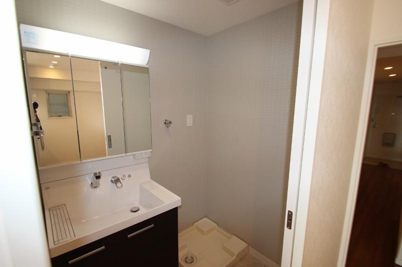 Wash basin, toilet. Indoor (12 May 2013) Shooting