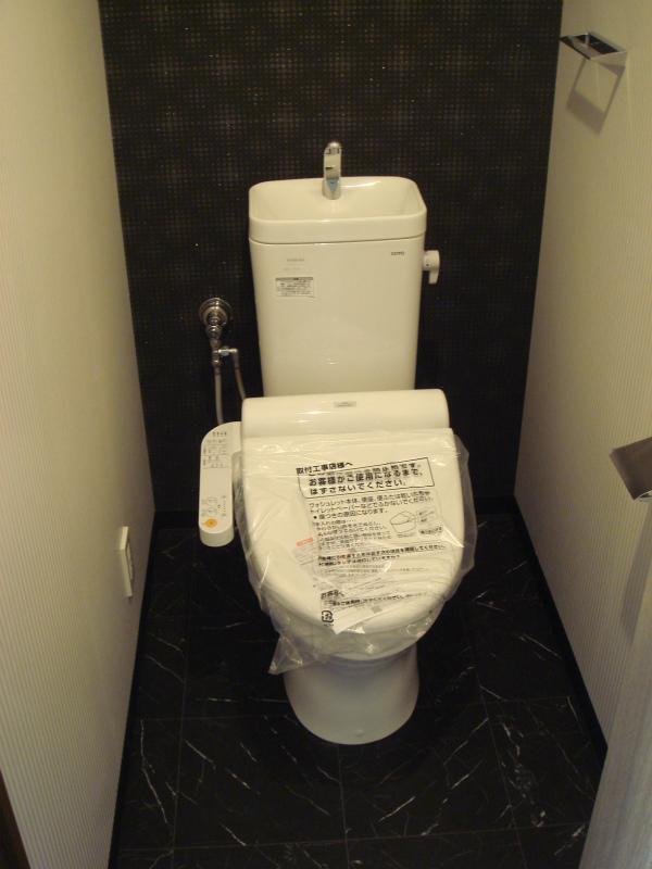 Toilet. Indoor ((November 2013) Shooting