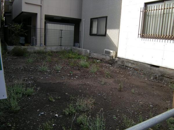Local photos, including front road