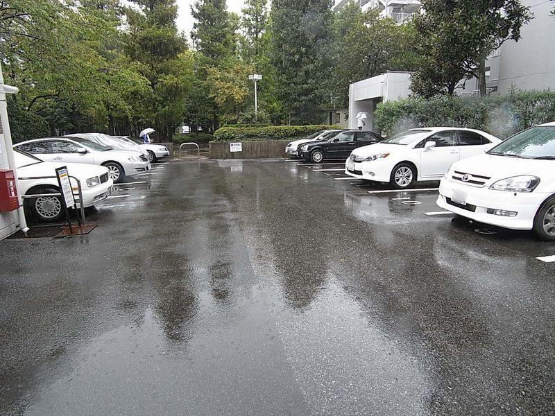 Parking lot. Plane parking