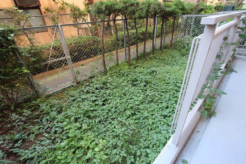 Garden. Private garden