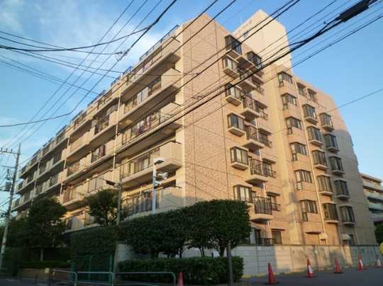 Local appearance photo. Appearance (1) 2013 November shooting