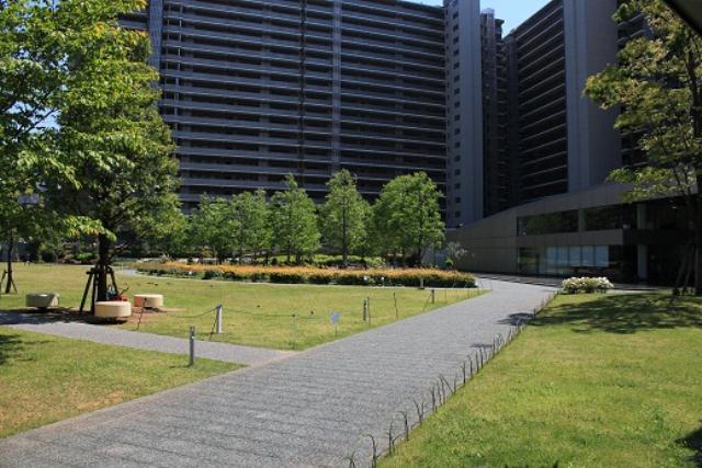 Other common areas. Courtyard photo