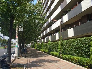 Other. South Court avenue