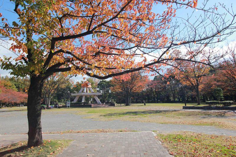 Koto-ku, Tokyo Kameido 9