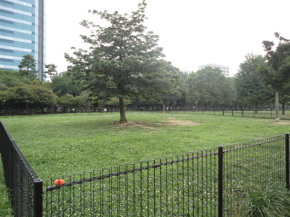 Other. Dog run of Kiba Park