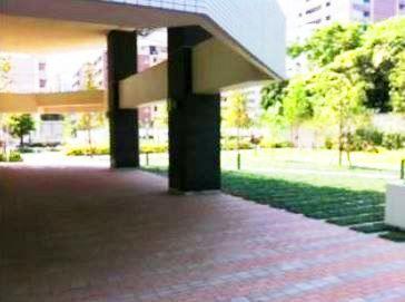 Other local. courtyard