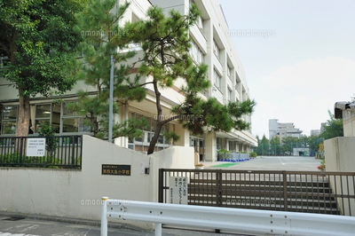 Primary school. 375m to Koto Ward fourth Oshima Elementary School (elementary school)