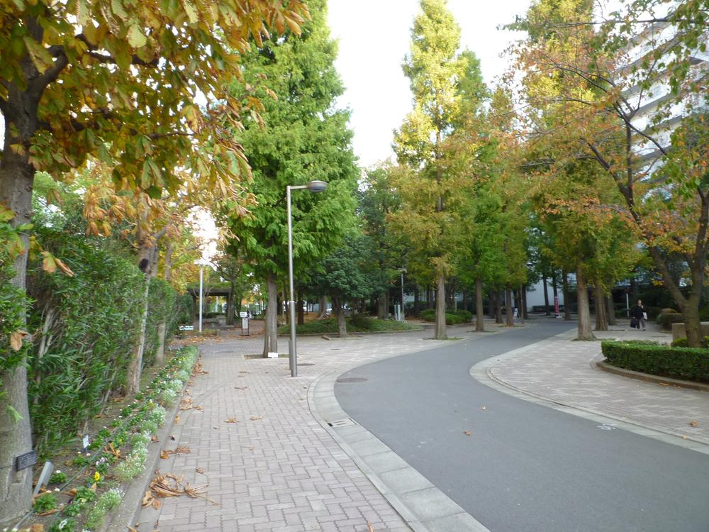 Other local. Local (11 May 2013) Shooting