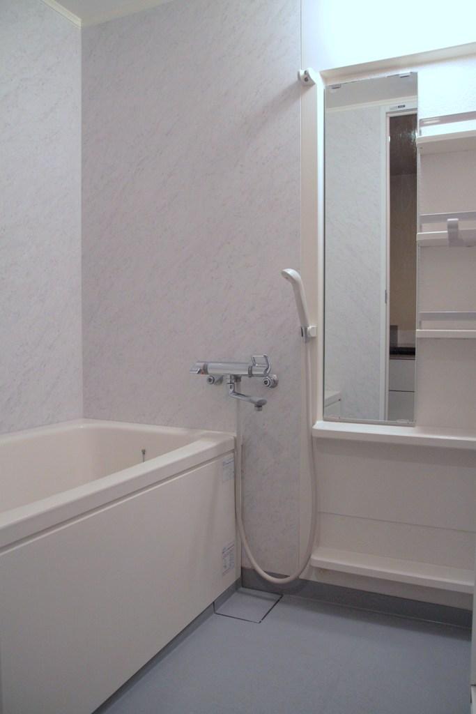 Bathroom. Indoor (12 May 2013) Shooting