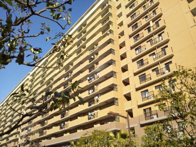 Local appearance photo. Local (February 2013) Shooting