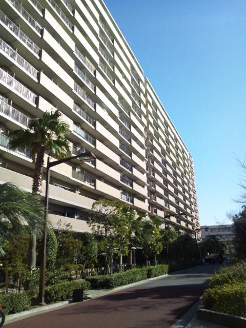 Local appearance photo. Local (February 2013) Shooting