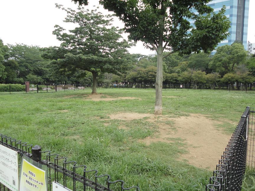 Other. Kiba park dog run (2)