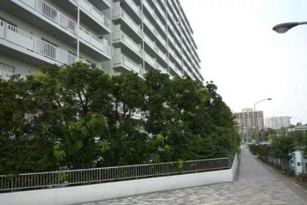 Local appearance photo