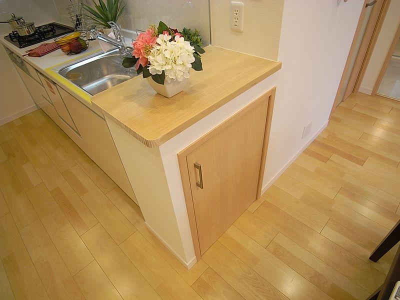 Kitchen. It will never be full of dishes made thanks to the little counter.