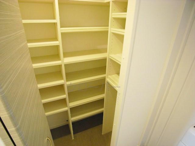 Entrance. Shoes-in closet