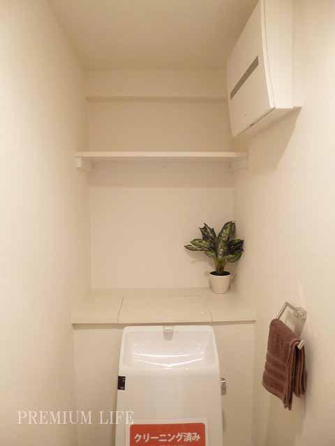 Toilet.  [toilet] Convenient shelf with a bidet toilet.