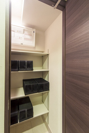 Interior.  [Colorful accommodated, Produce a refreshing living space] Including the walk-in closet and shoes in cloak of large capacity, It has established a variety of storage and effective use of the space. Organize clean clothes, etc., You can use a wider living space. (Photo shoes in cloak)