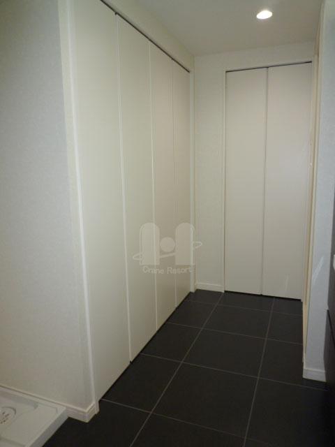 Wash basin, toilet. Vast storage space on the back side of the wash basin.