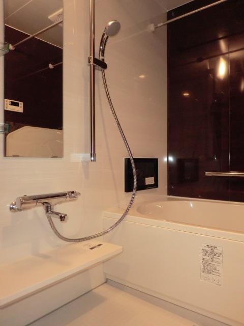 Bathroom. Indoor (11 May 2013) Shooting